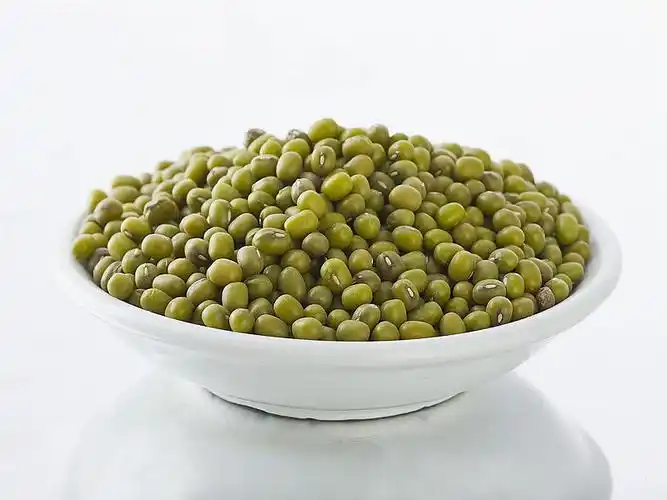 这就是我,一颗小小的绿豆,我和我的小伙伴们挤在一起,正在等待变身.