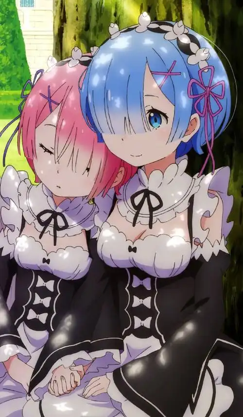 2 月 2 日 是#re:从零开始的异世界生活#雷姆&拉姆 的生日96第三季