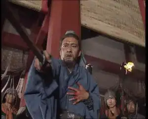 樊志起饰演的姜维