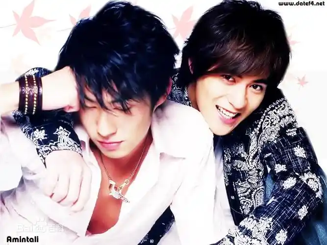 p data-id="gnsu5w8oh6">f4,中国台湾男子偶像组合,由 a target="