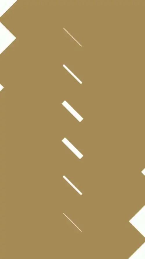 陶波尔和林洛洛是一个人吗了解了吗