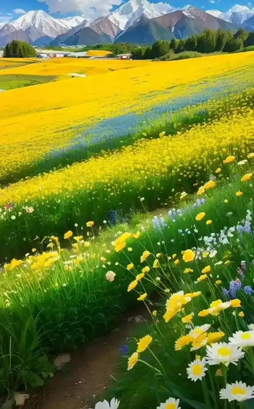 1075_1726竖版 竖屏