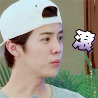 微信专用鹿晗动图表情包!耶嘿(6161)亲测!都能动呦( 61_61)