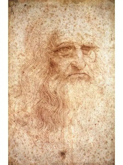 达芬奇的素描有多赞