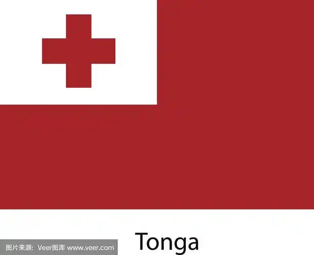 汤加国旗.矢量插图.