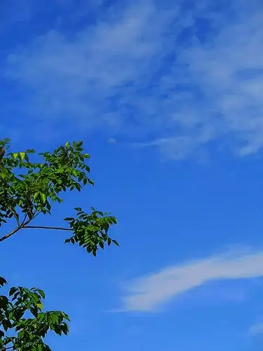 日常记录生活中看到的风景