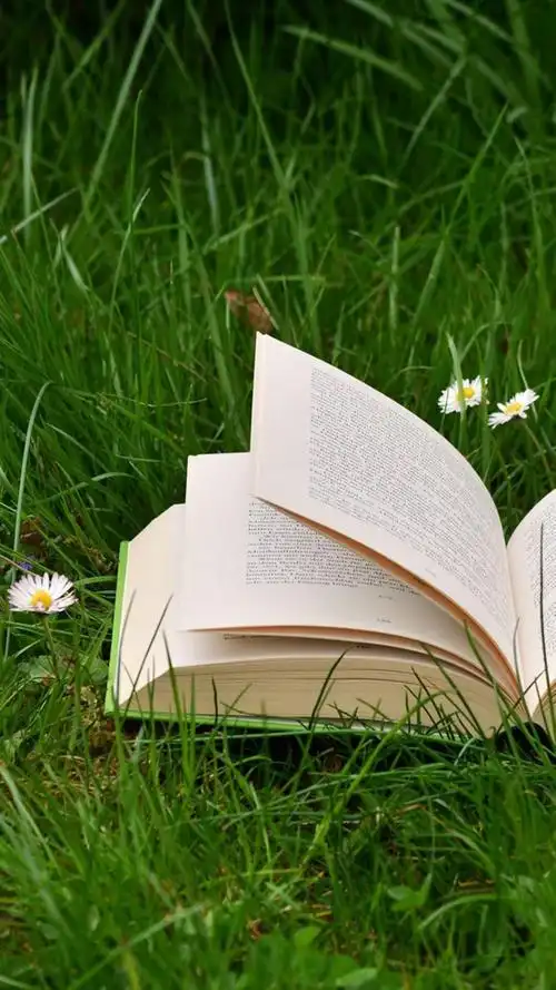 文艺风书籍阅读锁屏