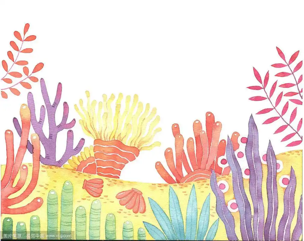 水彩插画-海底珊瑚