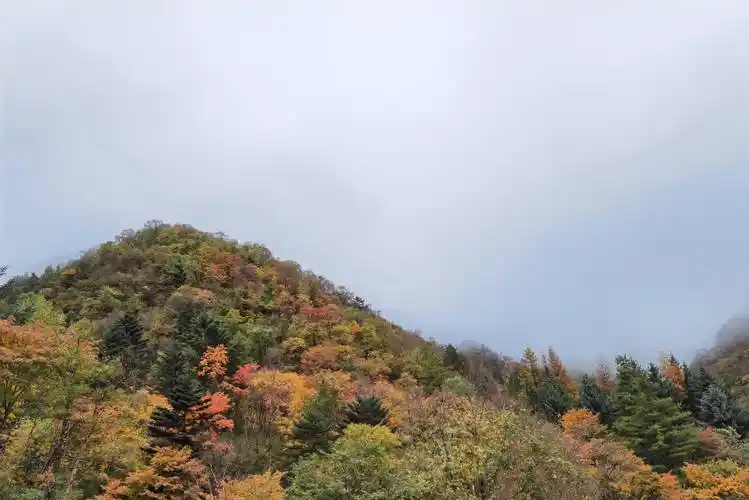 清秋翩跹在"秦岭小九寨"_黄柏塬_太白县_风景区