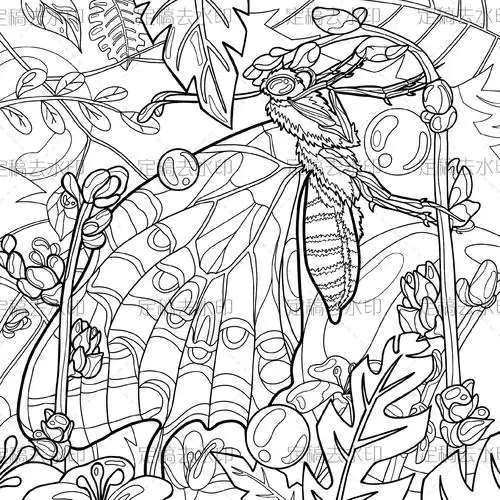 填色小游戏罢了#数字绘画 #填色 #画画 #蝴蝶  - 抖音