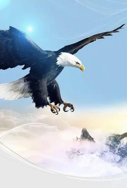 大鹏展翅翱翔长空