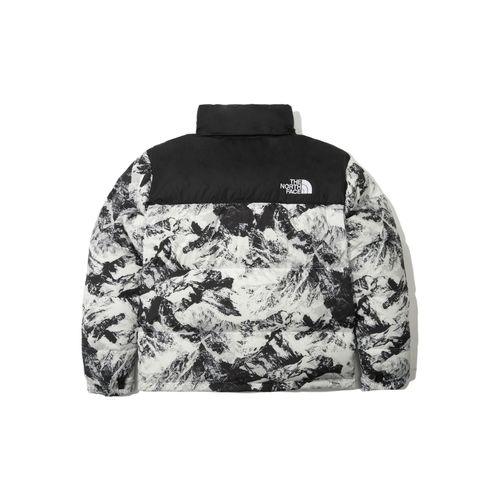 thenorthface北面22年限定tnf雪山1996鹅绒运动羽绒服