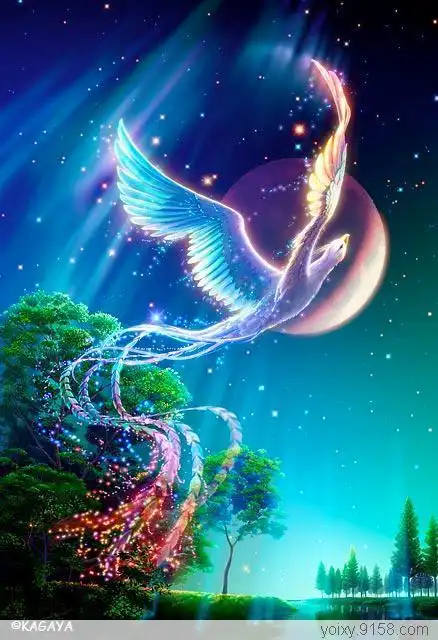 梦幻仙境的搜索结果_百度图片搜索