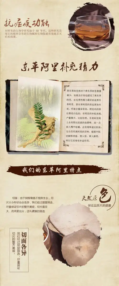 黑东革阿里的功效与作用黑东革阿里的功效你知道吗