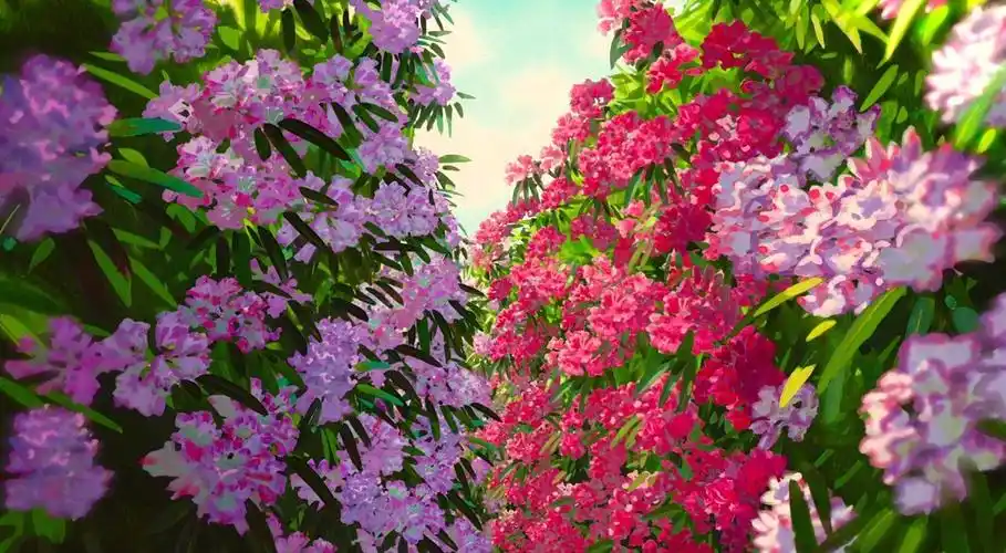 宫崎骏电影里的花