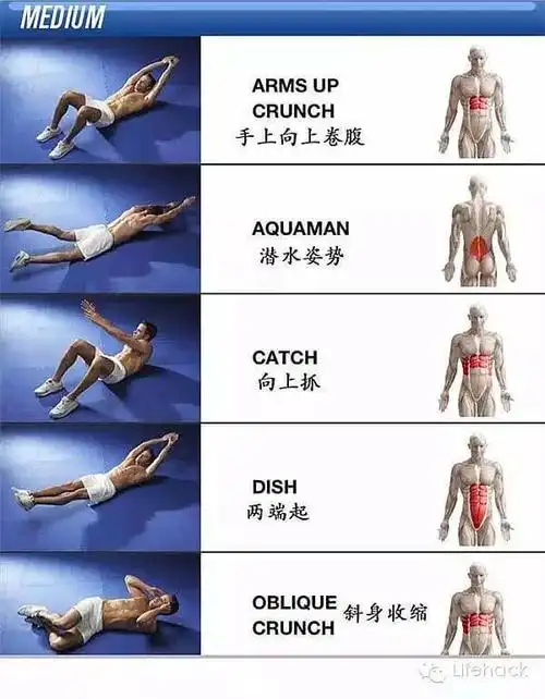 菜鸟到达人史上最全腹肌人鱼线锻炼指南