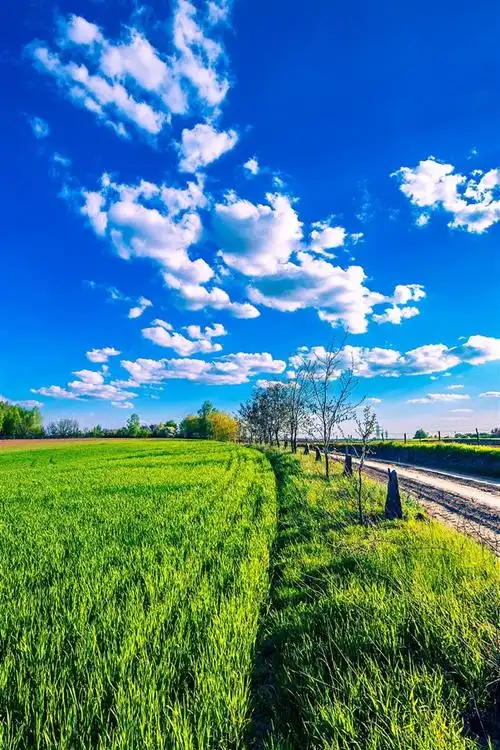 农村,绿色的田野,道路,蓝天,云彩 iphone 壁纸