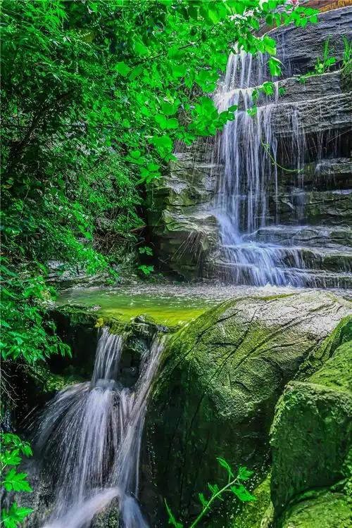 葱葱 一路鸟语花香,流水淙淙 一路戏水玩耍,清爽惬意 一路舒心随性,心