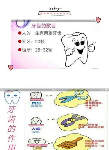 健康,全身健康"主题教育活动 写美篇乳牙有20颗 如何保护我们的牙齿?