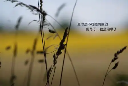 非主流伤感带字图片