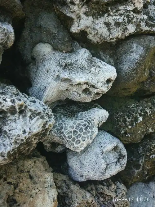 2019砂岛贝壳砂展示馆_旅游攻略_门票_地址_游记点评,垦丁旅游景点