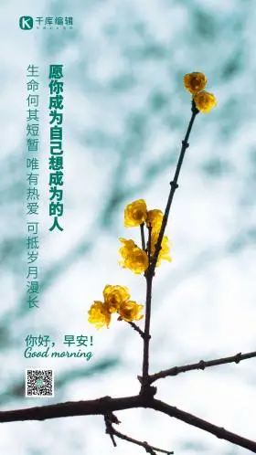 湖南橘子洲早晨腊梅黄色梅花梅花摄影图 摄影图海报 早安