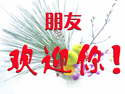 谢谢朋友们来访与评论!