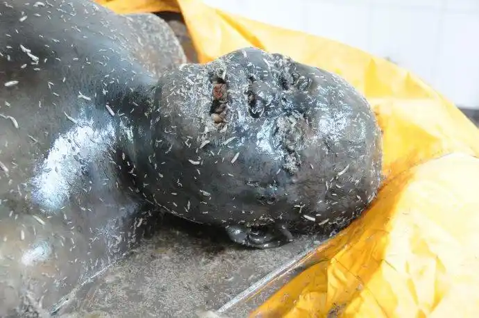 包含周公解梦梦见很多肉征兆的词条