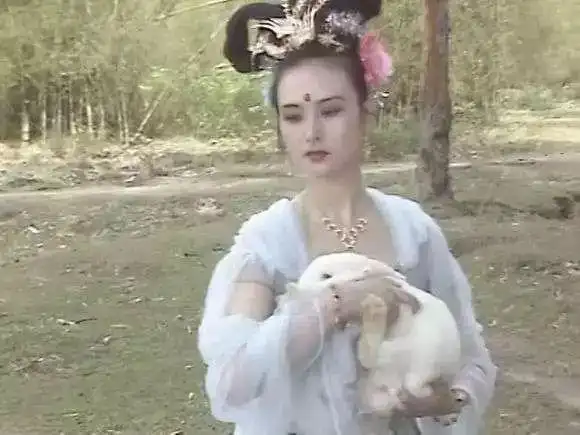 微史记中秋谈古月宫中的玉兔是哪儿来的