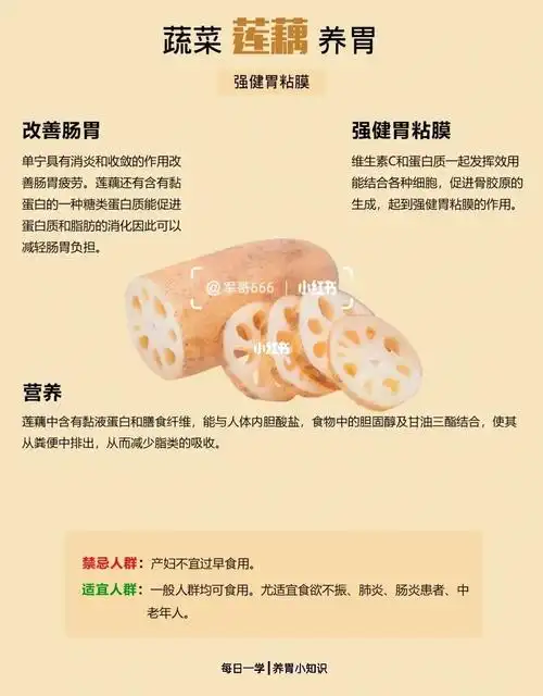 每日健康知识科普92 莲藕的健康功效及食用禁忌 吃对食物有益健康
