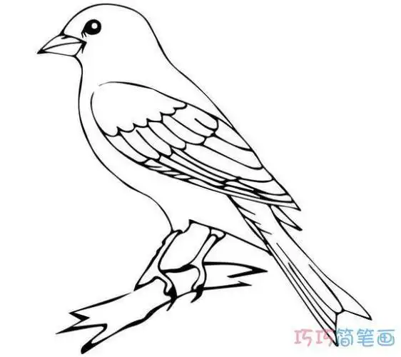 小鸟怎么画简单漂亮在天上飞的小鸟简笔画简笔画飞的小鸟怎么画手抄报