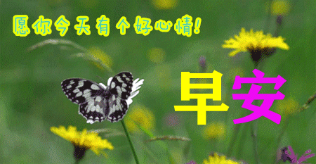 2021年11月6日上午好动态表情图片大全上午好动图美图大全