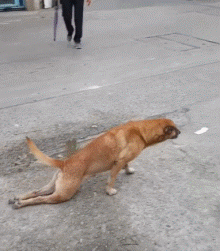 花果山小区,里面应该不是住的猴子吧 搞笑段子:老妈去超市买了很多