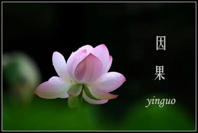 这个事再次警醒世人,因果报应,丝毫不爽啊!