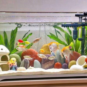 小米鱼缸造景天然长江彩石摆件石头彩色鹅卵石造景石装饰鱼缸石空气缸