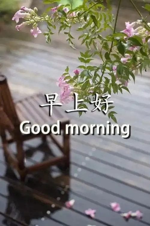 早上好问候语温馨祝福语图片 早上好祝福问候语