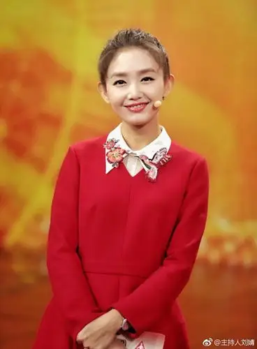 刘婧,北京卫视主持人刘婧简介,照片,微博,资料,老公是谁