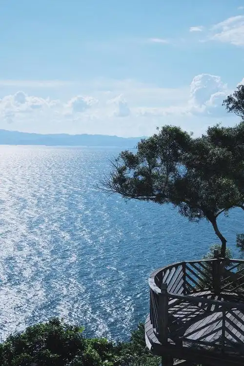 自拍的自用背景图!内含海天猫花树