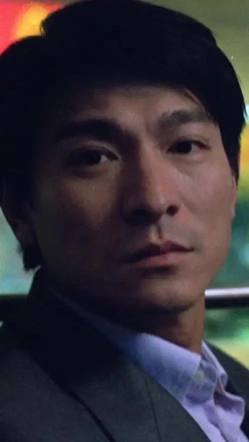 暗战:蒙嘉慧刘德华壁纸