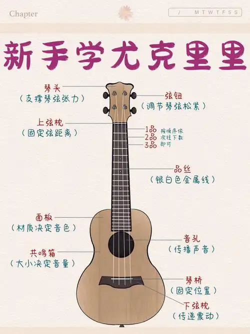 自学识谱与和弦太难一次带你搞懂尤克里里