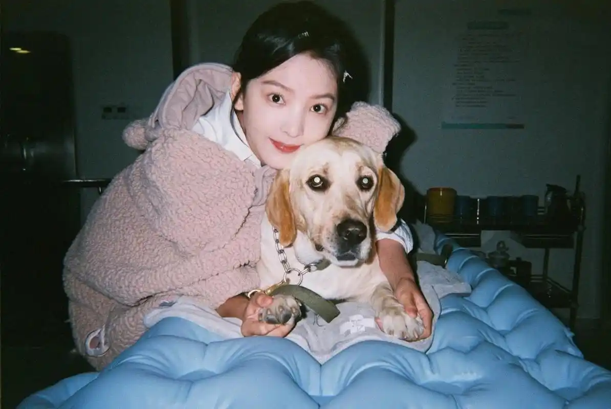 章若楠4k高清壁纸7815 睡眠时的脑比看电视时更活跃 没错,失眠了