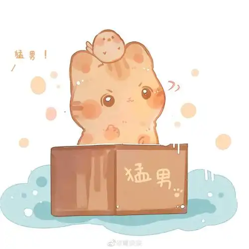 没有人比r1se更爱r1se