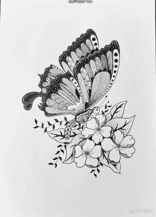 《蝶恋花》线描画绘画过程