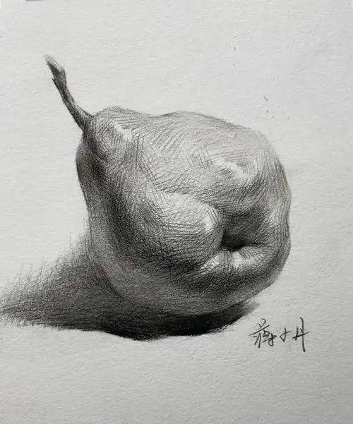 素描单体梨子怎么画简单易学详细步骤图