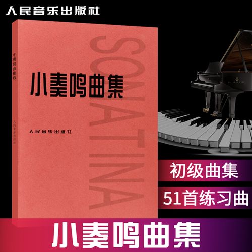 正版小奏鸣曲集51首练习曲学生初学者入门经典练习指法五线谱教学用书