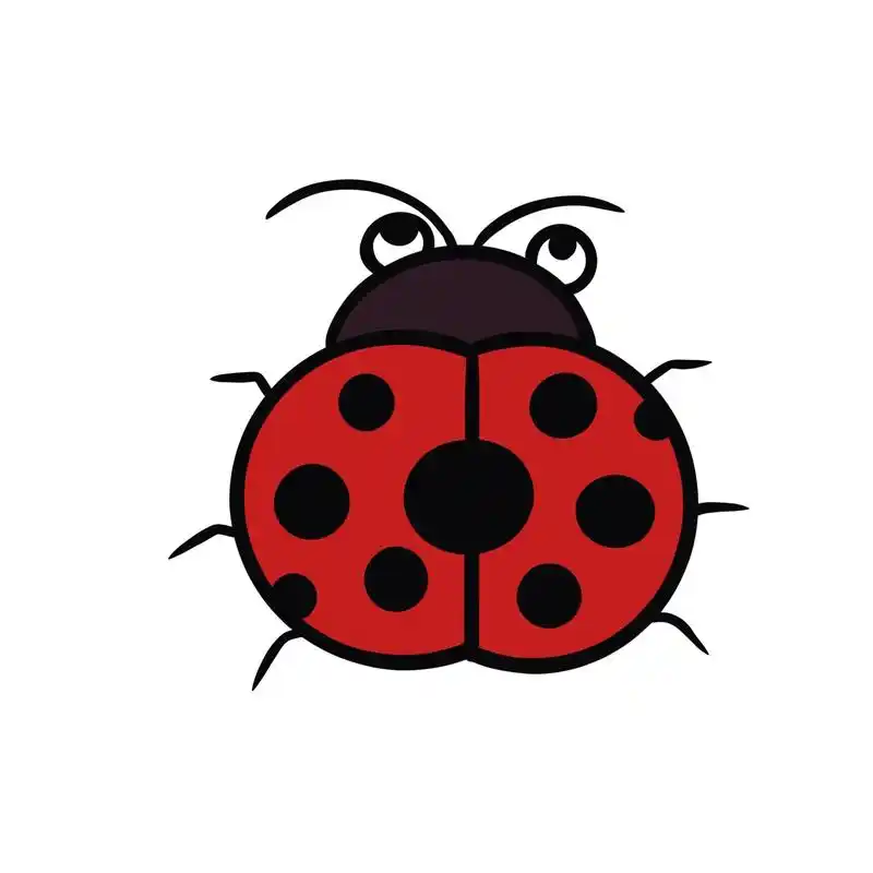 简笔画 #绘画过程 #育儿简笔画 #七星瓢虫 - 抖音