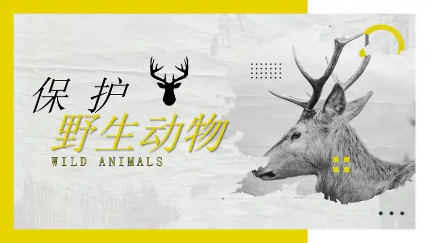 保护野生动物宣传ppt模板下载pptx