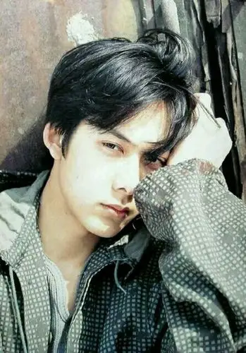 2015年11月20日 23:12   关注   柏原崇 年轻的搜索结果_百度图片