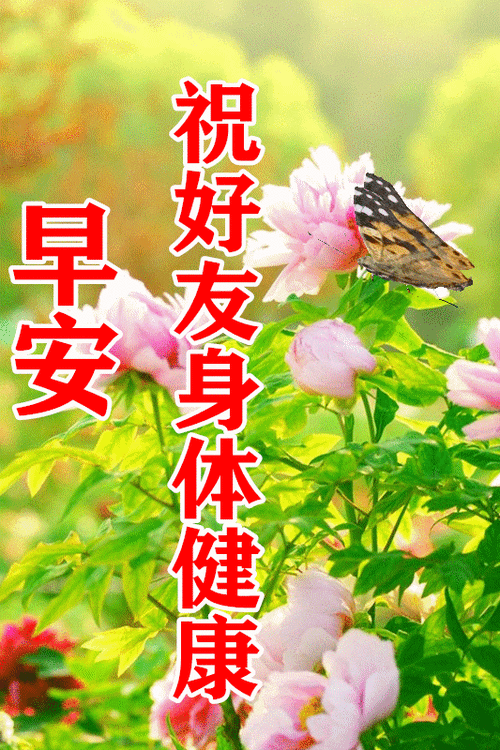 2021年3月3日正月二十周三最新早安问候语动态表情图片问候语录