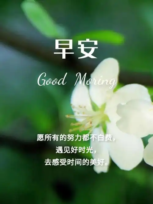 早安最新图片  2022早上好最火图片图片